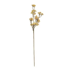 BUNGALOW Cornelian Cherry Flower Sunshine