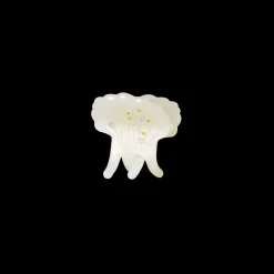 MAANESTEN Pasha Hair Claw Shell