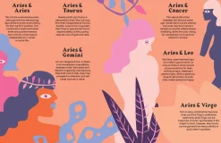 NEW MAGS Book Aries