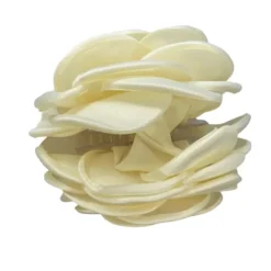 PICO COPENHAGEN Giant Satin Rose Claw Ivory