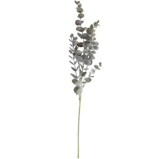 SPEEDTSBERG 194866 Eukalyptus